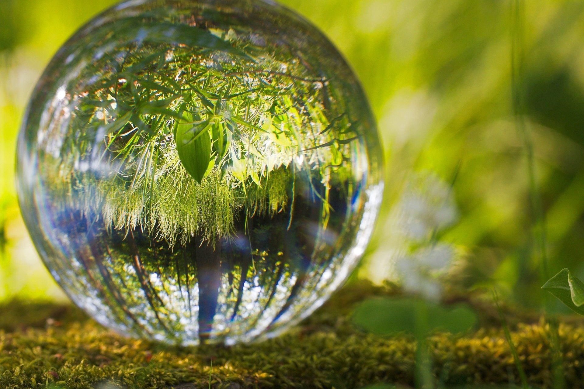 🌿 ЭКОДВИЖ-2024 ♻️