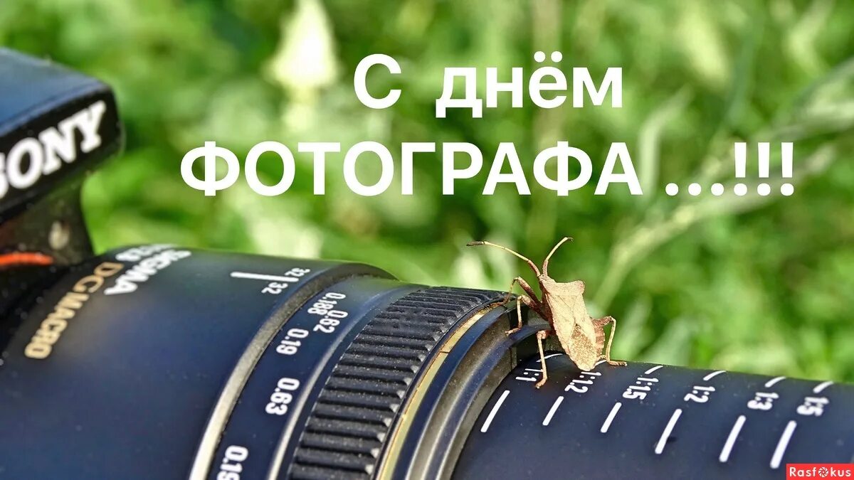 📷 День фотографии 📷