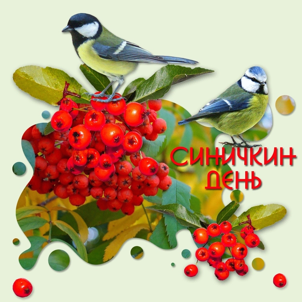 🐦 Синичкин день 🐦