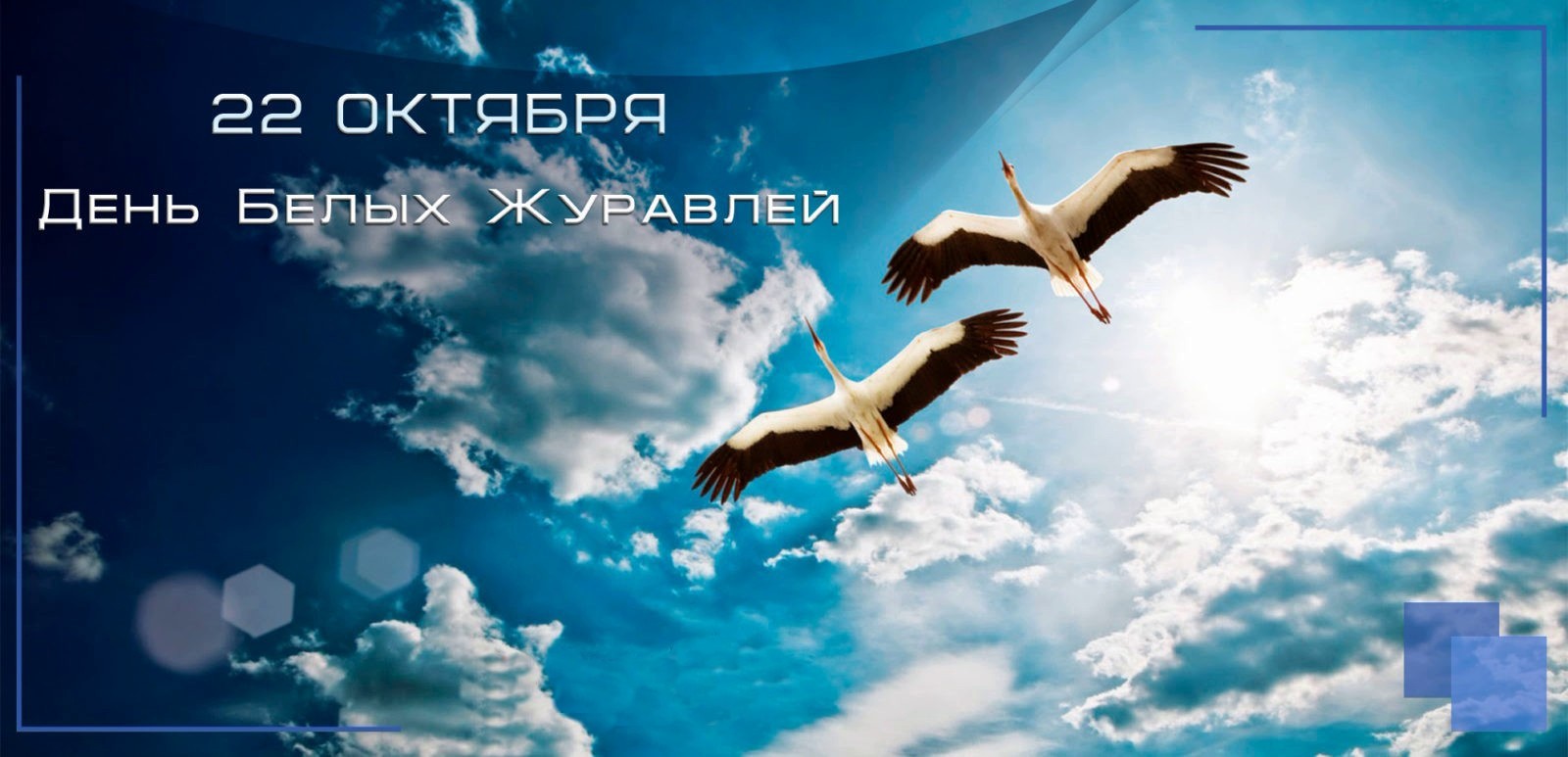 Летят в бессмертье журавли…