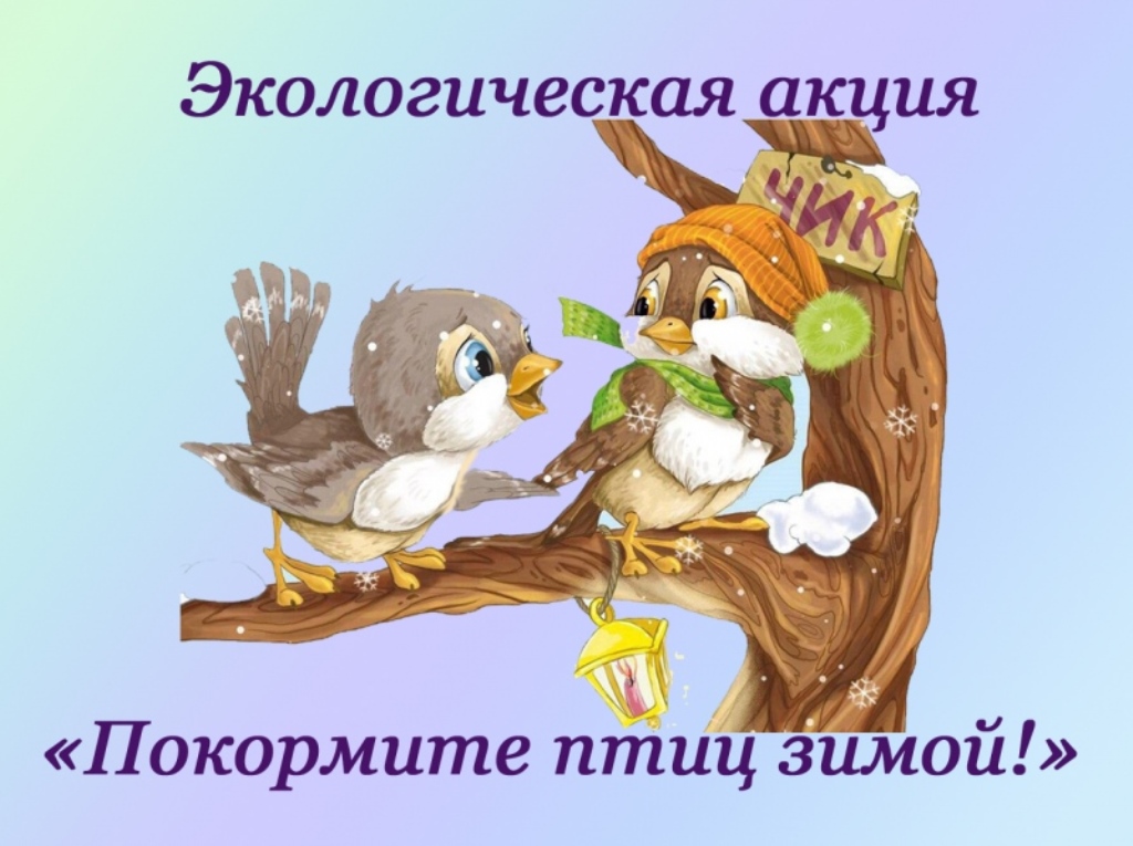 Покормите птиц зимой