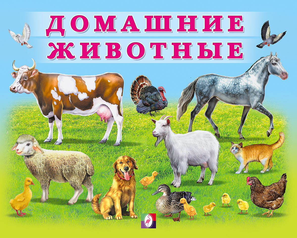 Блицтурнир «Наши домашние животные»