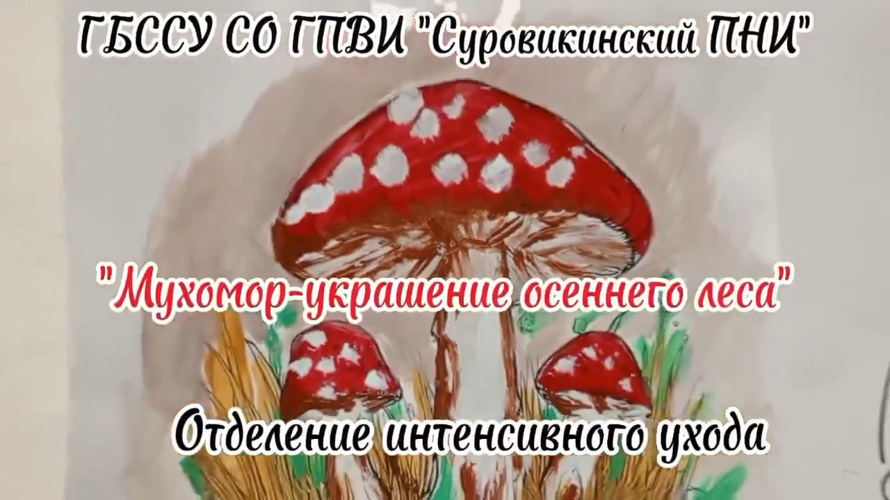 🍄 Мухомор — украшение осеннего леса 🍄