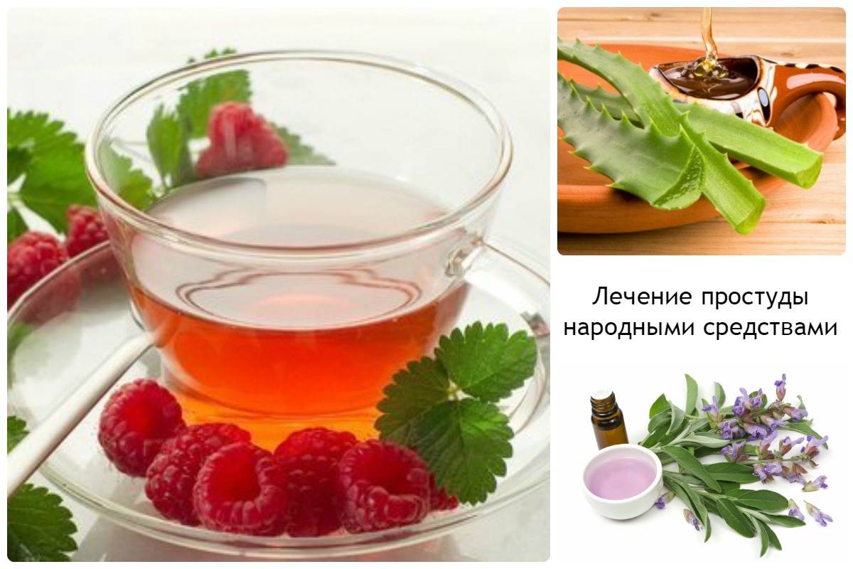 🌿 Помогают ли народные средства от гриппа и ОРВИ 🌿