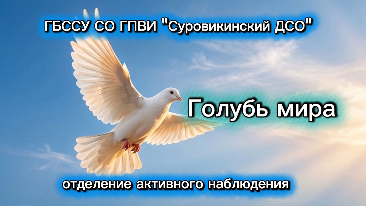 🕊️ Голубь мира 🕊️