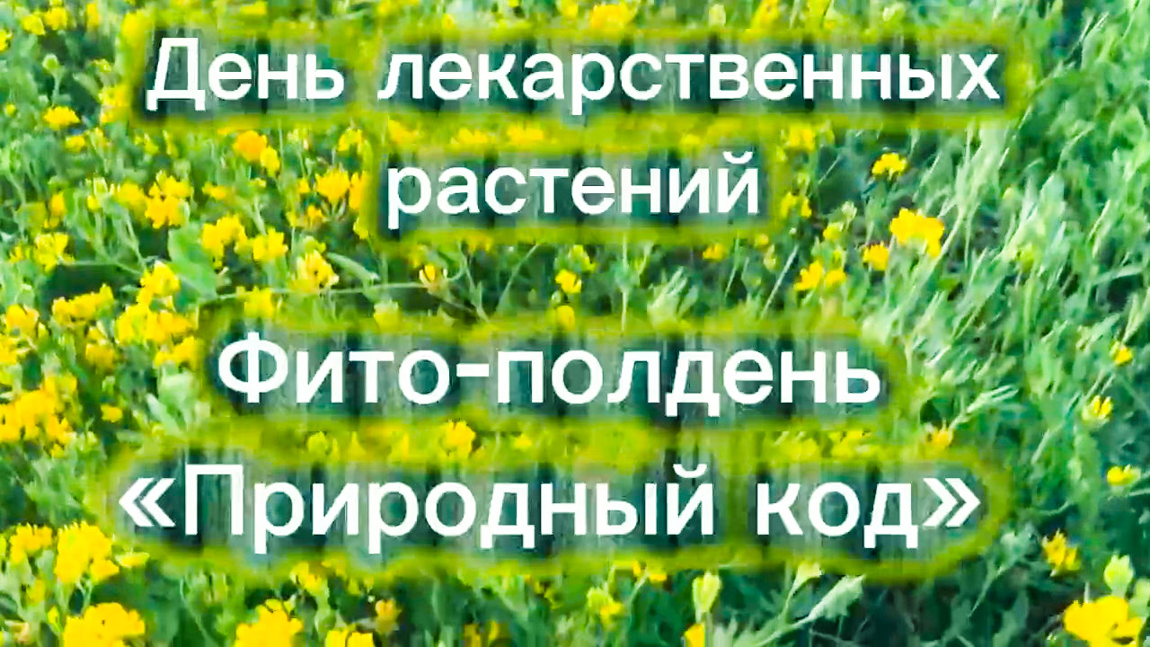 🌿 Фито-полдень «Природный код» 🌿